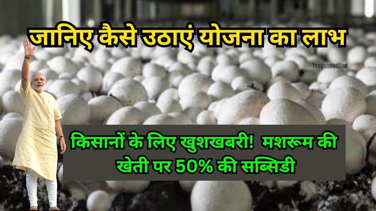 Mushroom Farming Subsidy Yojana: किसानों के लिए खुशखबरी! मशरूम की खेती पर 50% की सब्सिडी, जानिए कैसे उठाएं योजना का लाभ