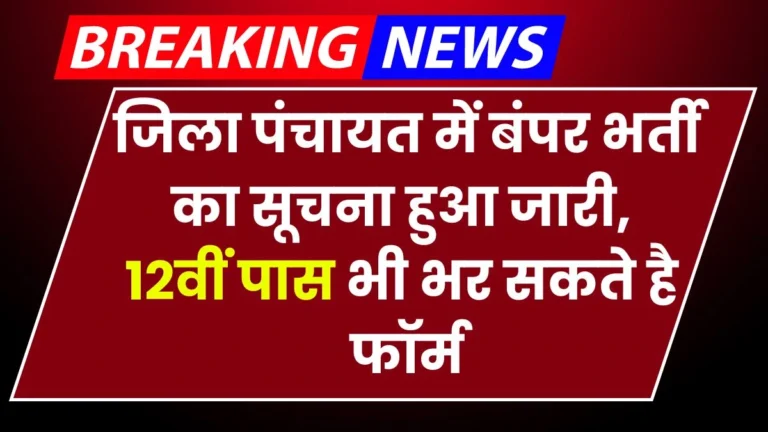 District Panchayat Vacancy: जिला पंचायत में 12वीं पास के लिए निकली बम्पर भर्ती, जल्द से जल्द करें आवेदन